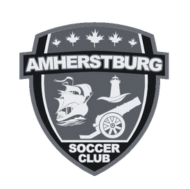 AMSA Soccer Logo