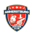 AMSA Soccer Logo